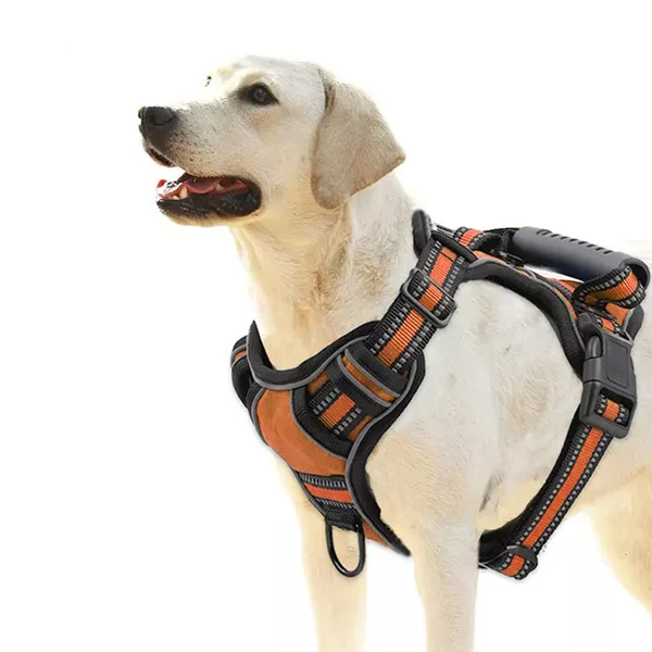 Dog Harness With Handle