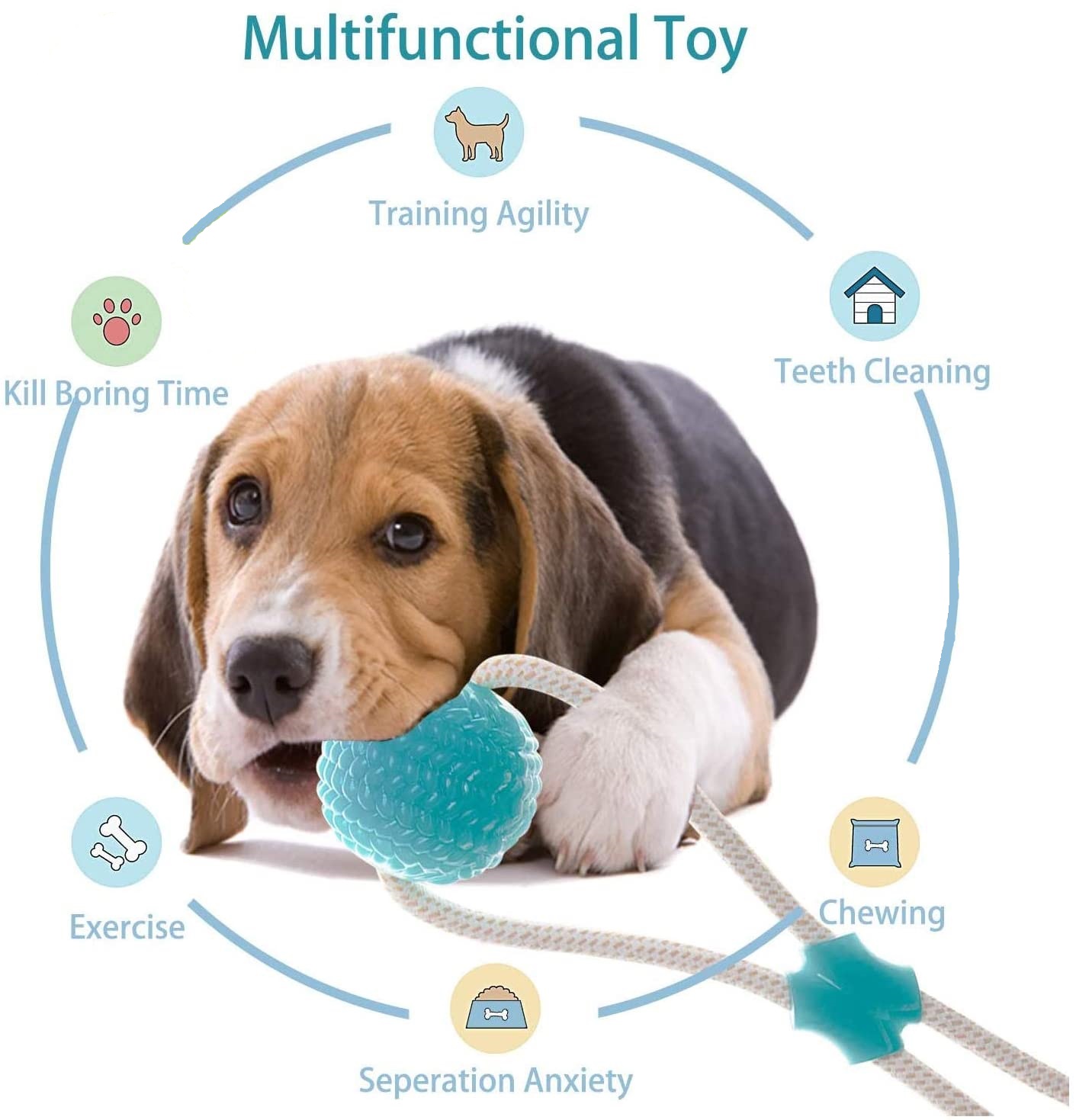 Interactive Suction Cup Dog Toy