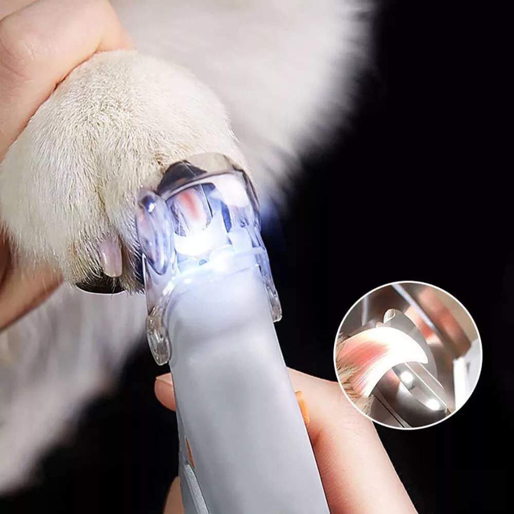 Dog Nail Clippers, Cat Nail Clippers, Pet Nail Clippers With Light, Led  Light Pet Nail | Fruugo IE