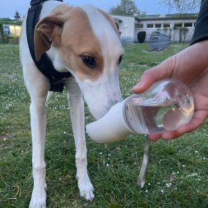 Erhalten Tragbare Wasserflasche Für Hunde von Kunde R***n