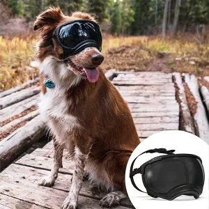 dog goggles, dog sunglasses, dog eye protection