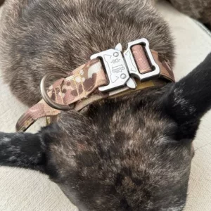 Received Tactical Training Dog Collar with Metal Buckle from customer S***n.