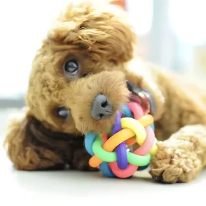 dog ball, dog chew toy