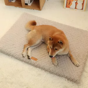 washable dog bed, plush dog bed, dog bed with removable cover