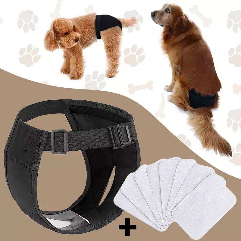 female dog nappies, dog period diapers, female dog diapers, washable dog diapers, dog diapers for heat