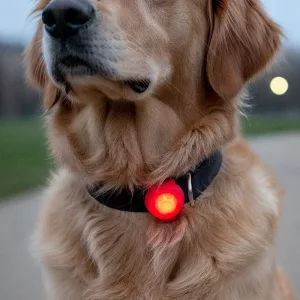 led collar pendant
